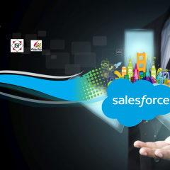 Developer Transition from Java to Salesforce